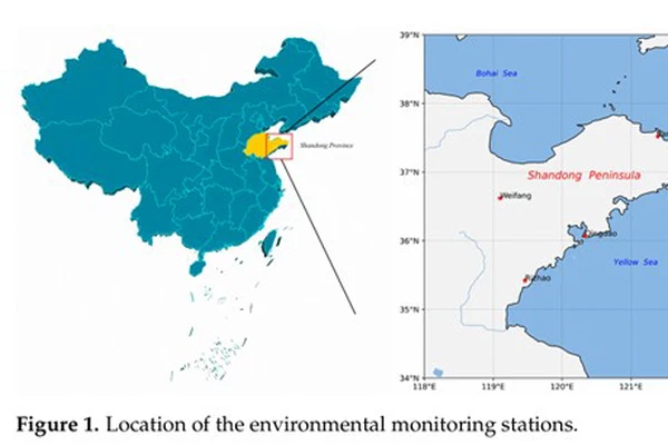 Deep Sequence Learning for Prediction of Daily NO2 Concentration in Coastal Cities of Northern China