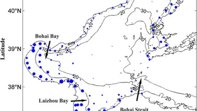 Improvement of the Ocean Pollutant Transport Model by Using the Surface Spline Interpolation featured image