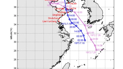Numerical Study on Storm Surge Level Including Astronomical Tide Effect Using Data Assimilation Method featured image