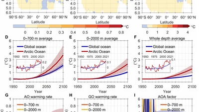 Arctic Ocean Amplification in a Warming Climate in CMIP6 Models featured image