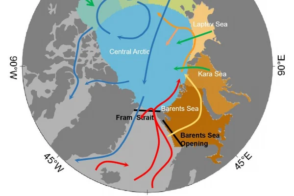 Distinct Impacts of Increased Atlantic and Pacific Ocean Heat Transport on Arctic Ocean Warming and Sea Ice Decline