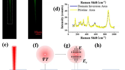 Domain growth driven by a femtosecond laser inlithium niobate crystal featured image