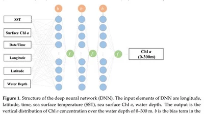 Improved Perceptron of Subsurface Chlorophyll Maxima by a Deep Neural Network: A Case Study with BGC-Argo Float Data in the Northwestern Pacific Ocean featured image