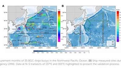 Evolution of 3-D Chlorophyll in the Northwestern Pacific Ocean Using a Gaussian-activation Deep Neural Network Model featured image